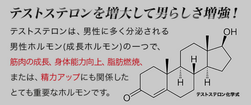 K}bNX}bX,eXgXe,ؓ,^ptH[}X,j̖